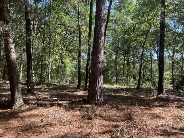 $179,900 | 392 Reiser Road, Springfield, GA 31329