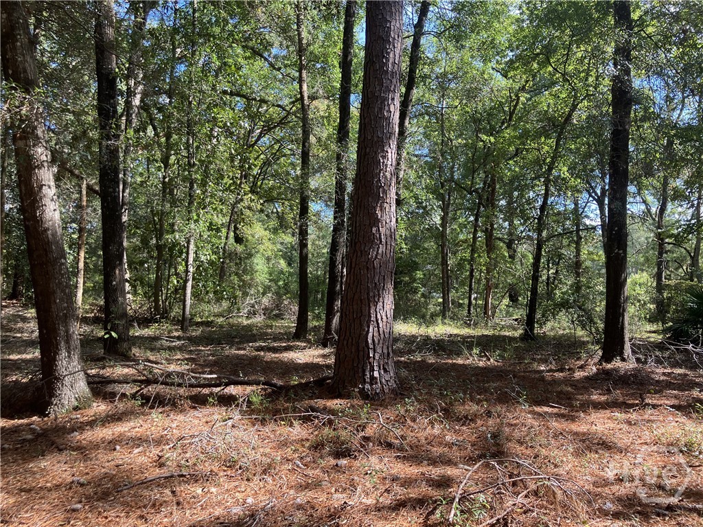 392 Reiser Road Springfield, GA 31329 - Photo 6 of 11 Peace