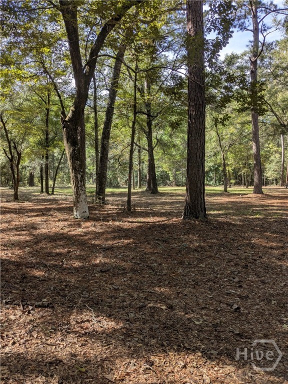 392 Reiser Road Springfield, GA 31329 - Photo 8 of 11 Build your new home with trees.