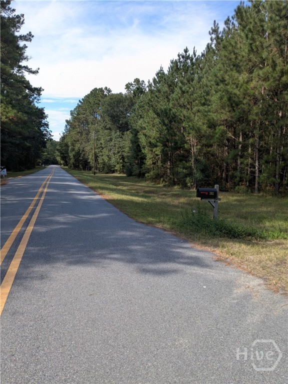 392 Reiser Road Springfield, GA 31329 - Photo 9 of 11 Quiet road with big frontage.