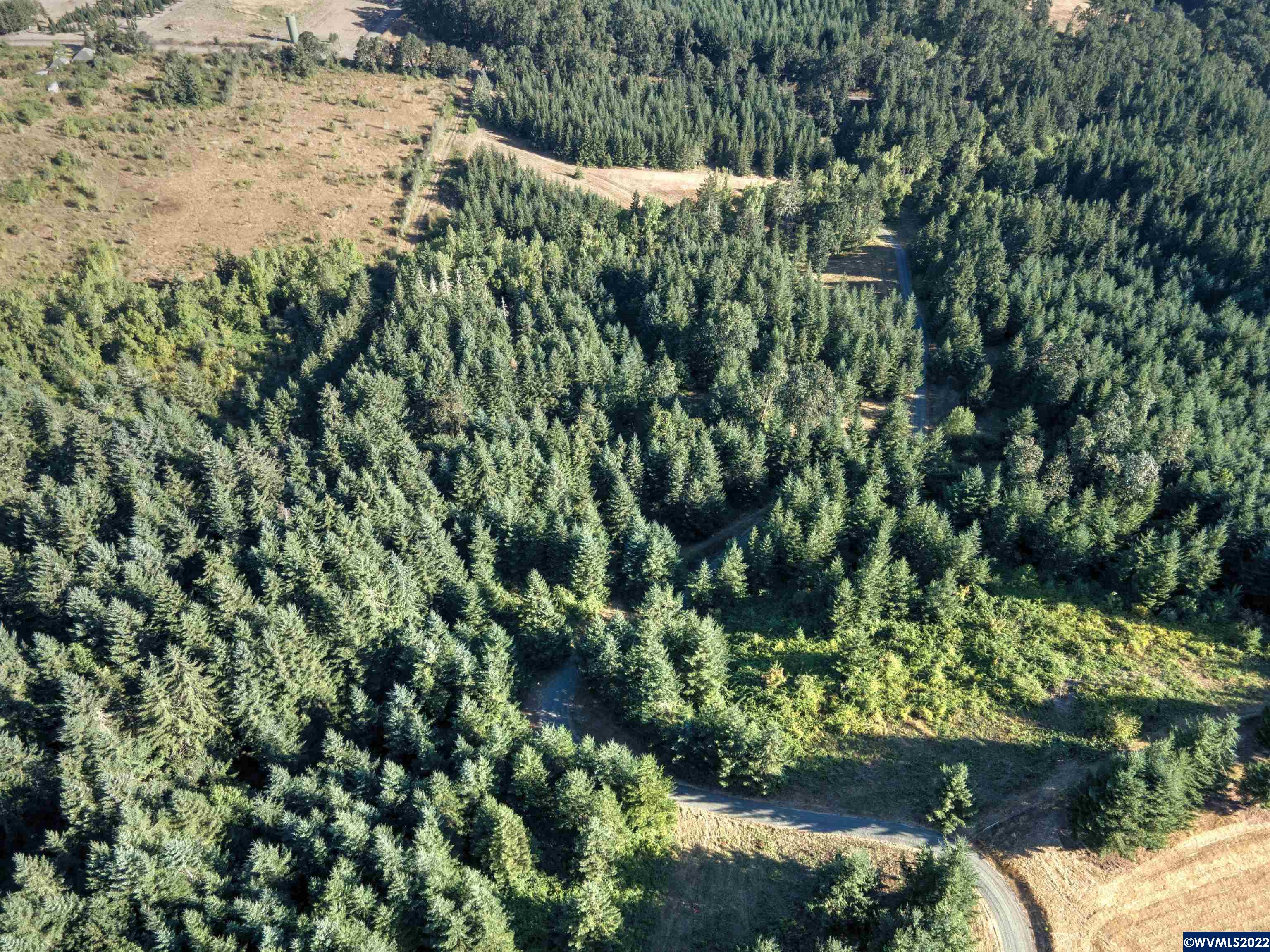 20660 Stone Road Sheridan, OR 97378 - Photo 10 of 39