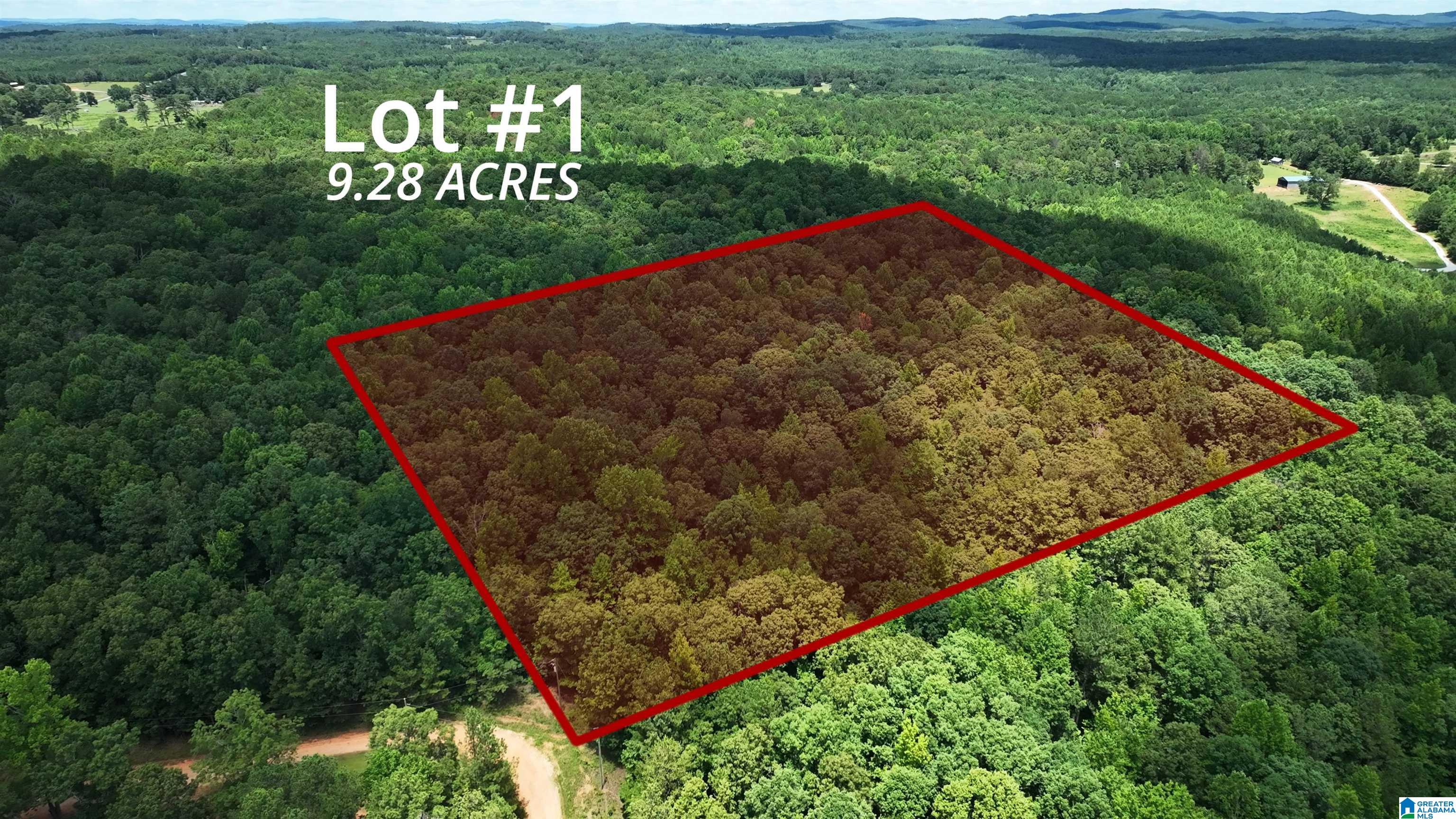 0 Pinetucky Lane Heflin, AL 36264 - Photo 2 of 16