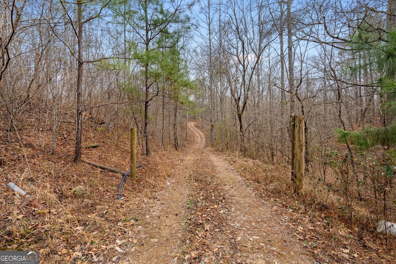227 County Road 71 Heflin, AL 36264 - Photo 43 of 52