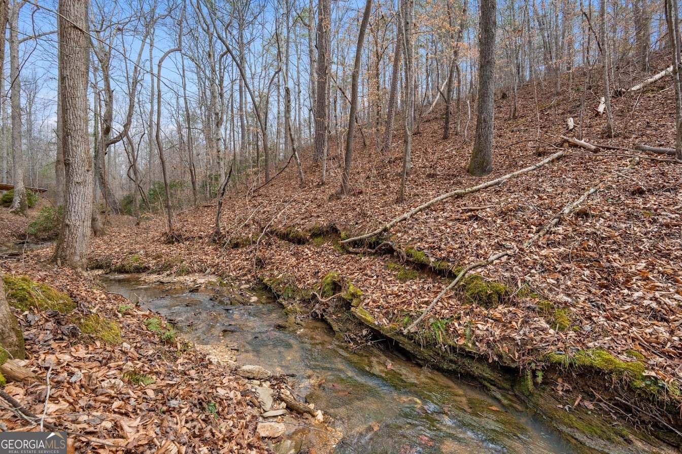 227 County Road 71 Heflin, AL 36264 - Photo 44 of 52