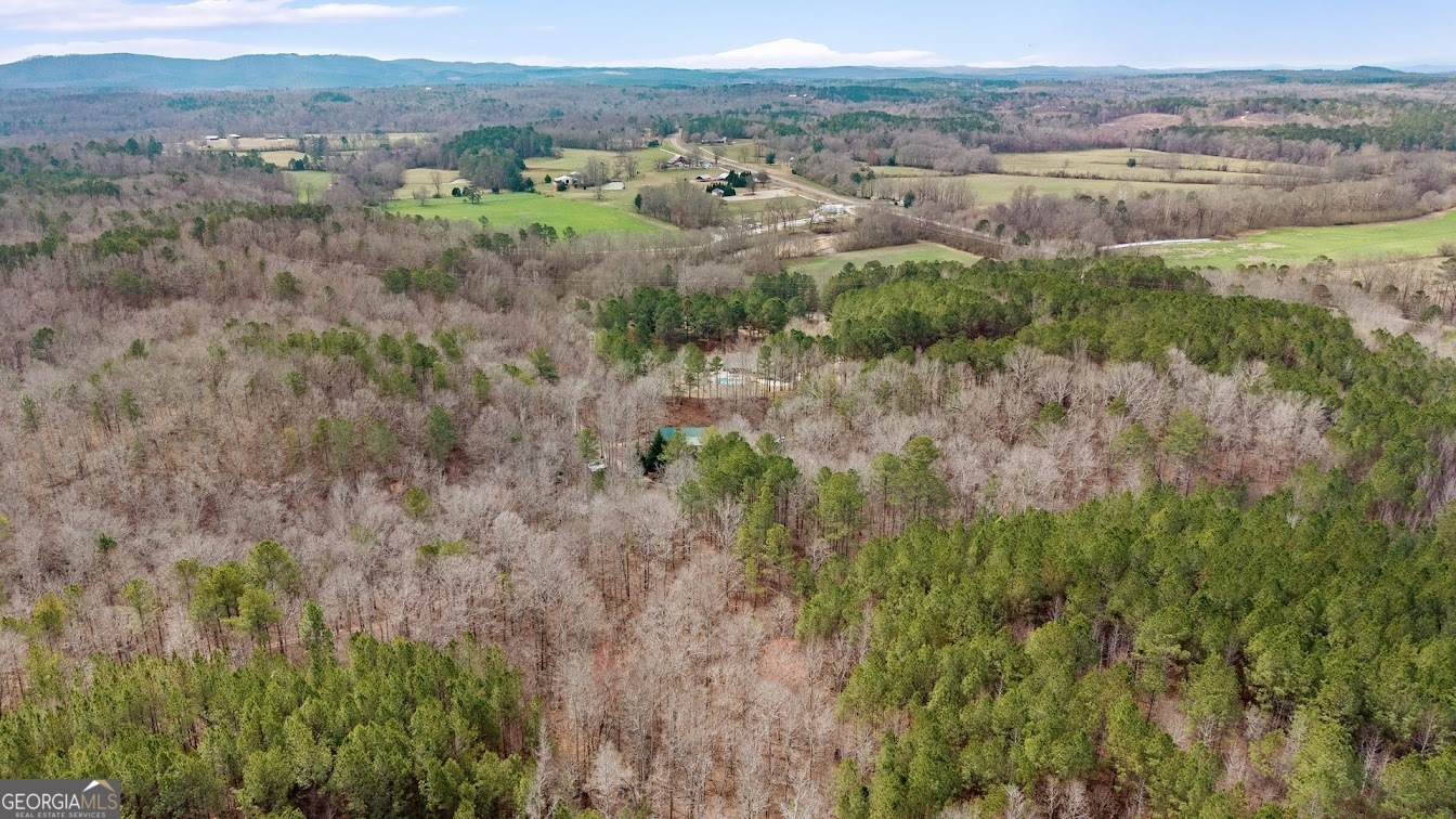 227 County Road 71 Heflin, AL 36264 - Photo 49 of 52
