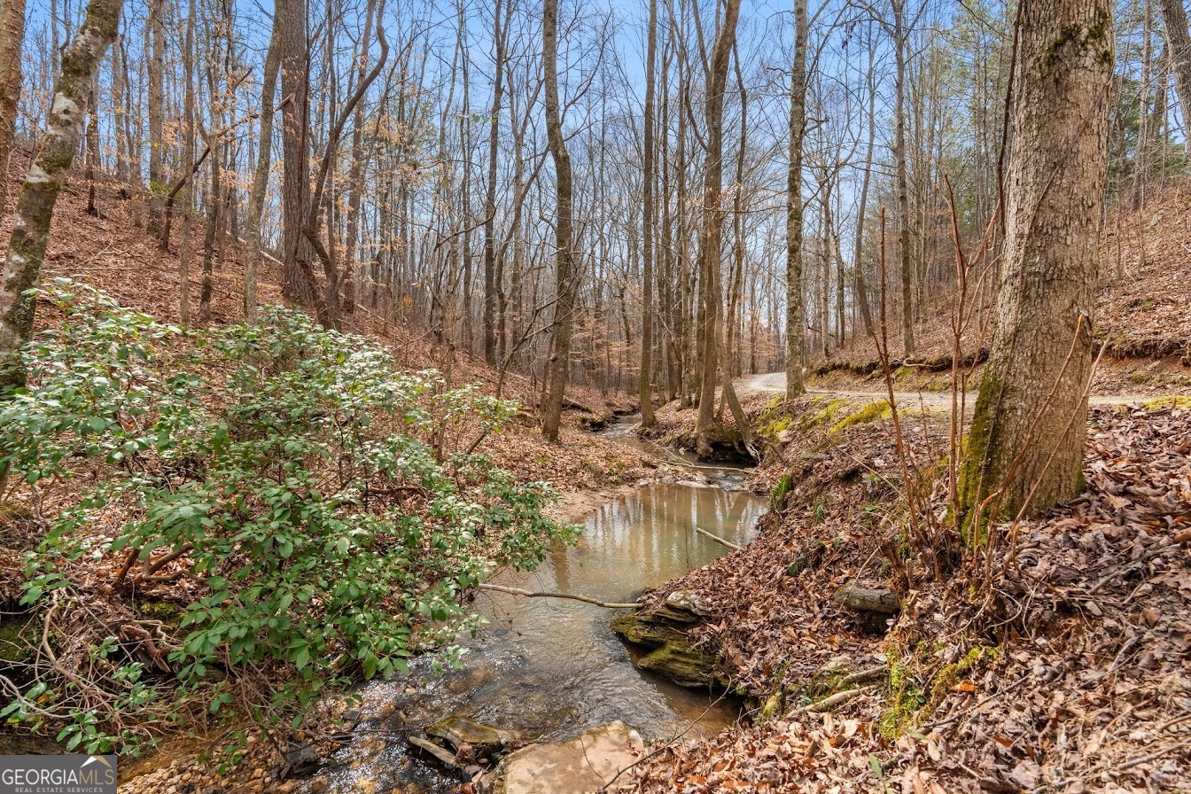 227 County Road 71 Heflin, AL 36264 - Photo 5 of 52