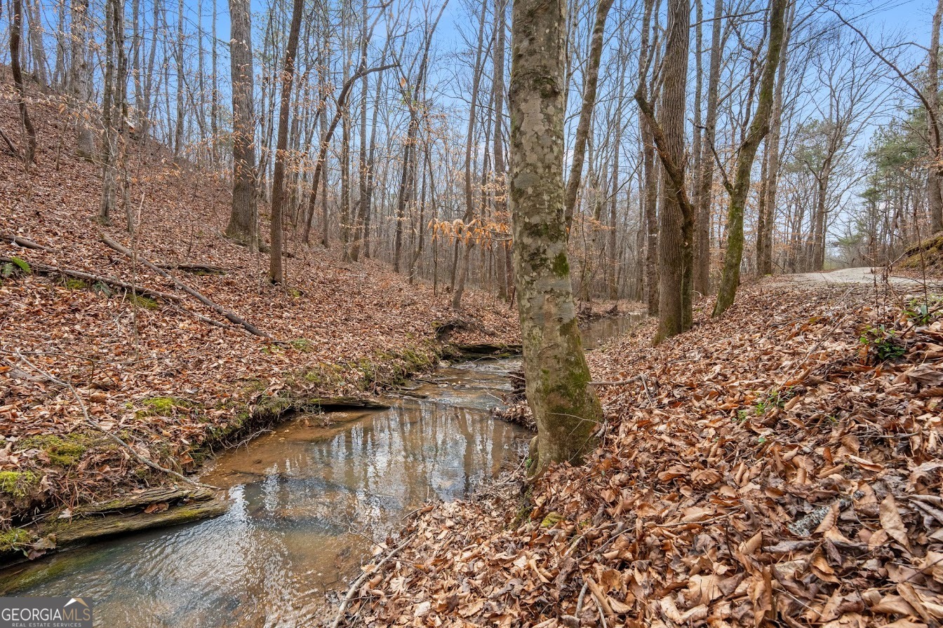 227 County Road 71 Heflin, AL 36264 - Photo 6 of 52