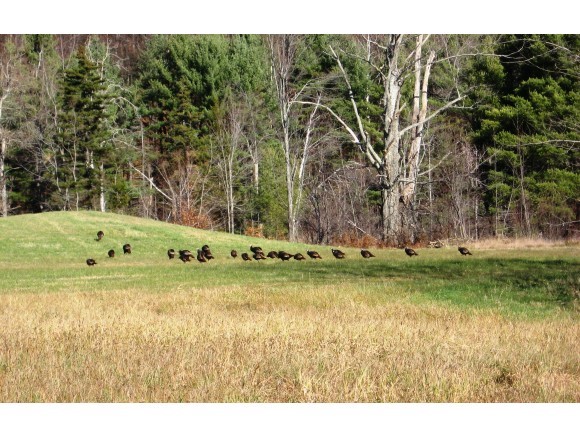 1709 Wild Apple Road Pomfret, VT 05067 - Photo 11 of 16