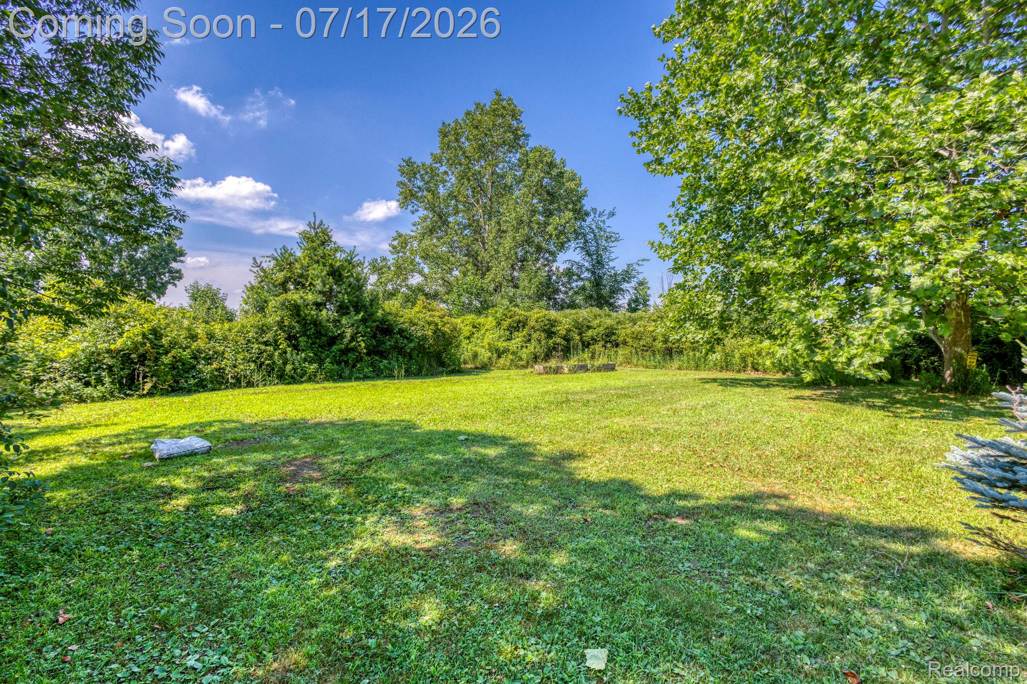 9805 Dolan Road Columbus, MI 48063 - Photo 36 of 39 Expansive green lawn surrounded by mature trees and lush foliage