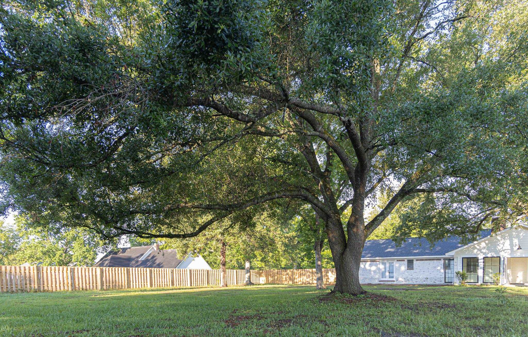 19690 Lawrence Road Fairhope, AL 36532 - Photo 59 of 73 Yard