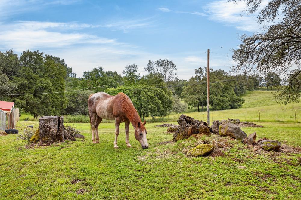 2476 Frontier Road Auburn, CA 95603 - Photo 2 of 74