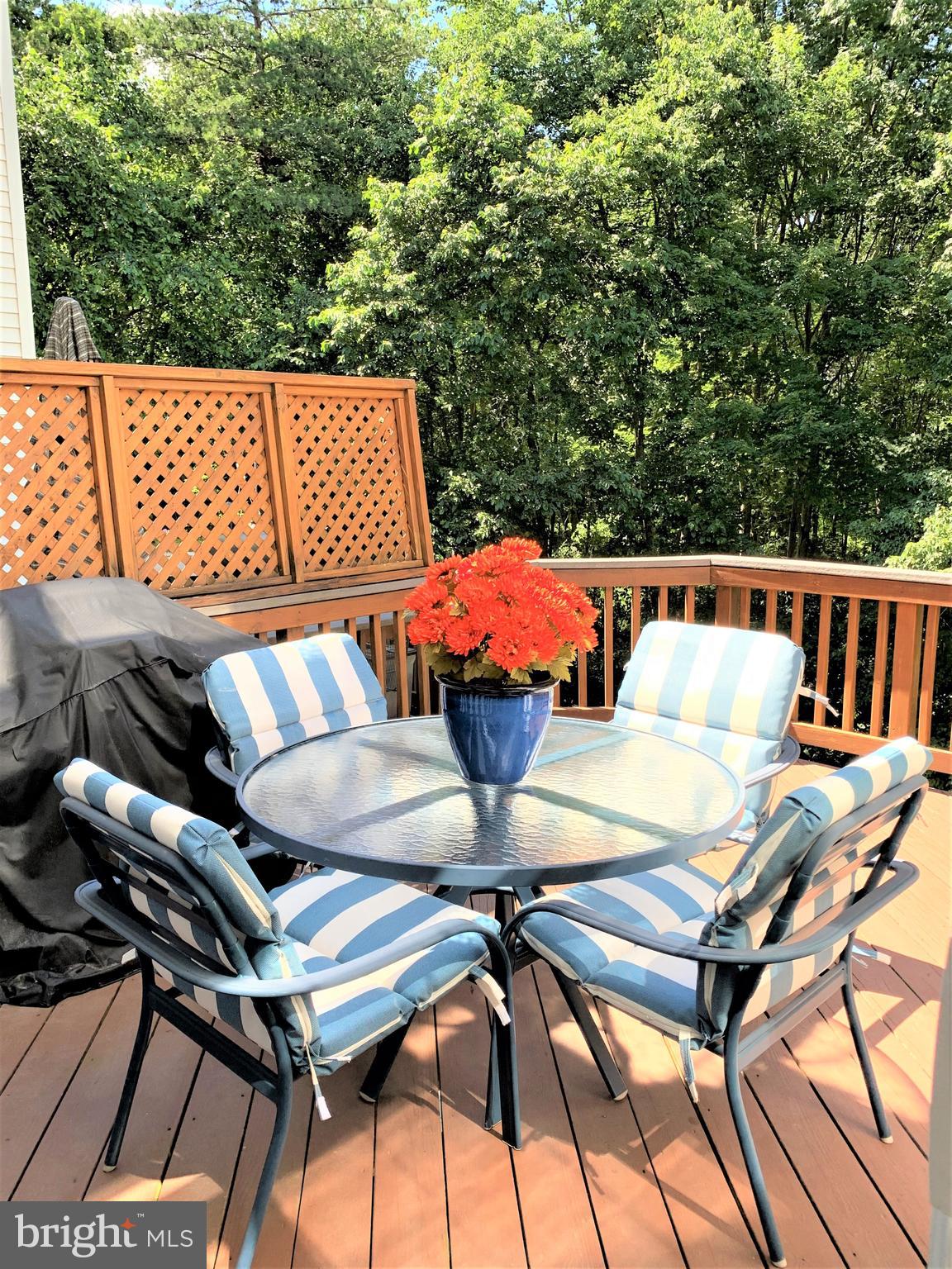 7317 Hampton Manor Place Springfield, VA 22150 - Photo 49 of 52