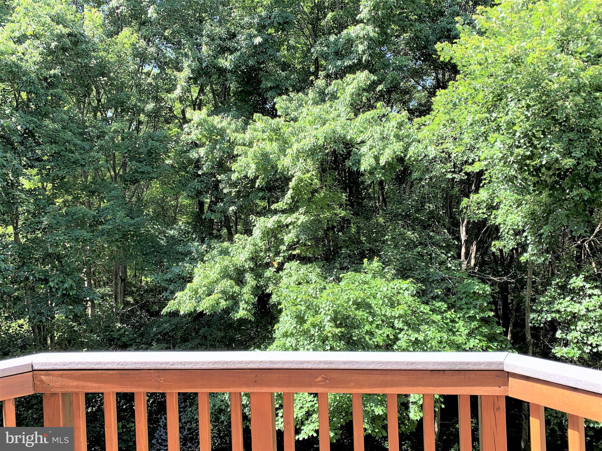 7317 Hampton Manor Place Springfield, VA 22150 - Photo 50 of 52