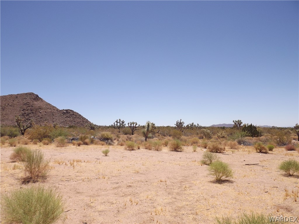 19636 Gunsmoke Road Yucca, AZ 86438 - Photo 11 of 17 Gallery Image 11