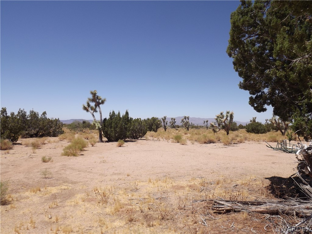 19636 Gunsmoke Road Yucca, AZ 86438 - Photo 12 of 17 Gallery Image 12