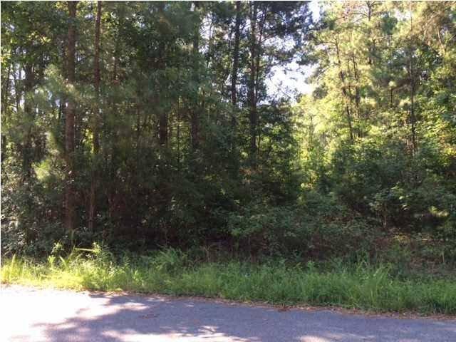 0 Prince Thomas Road Summerville, SC 29483 - Photo 2 of 5 0 Prince Thomas Dr
