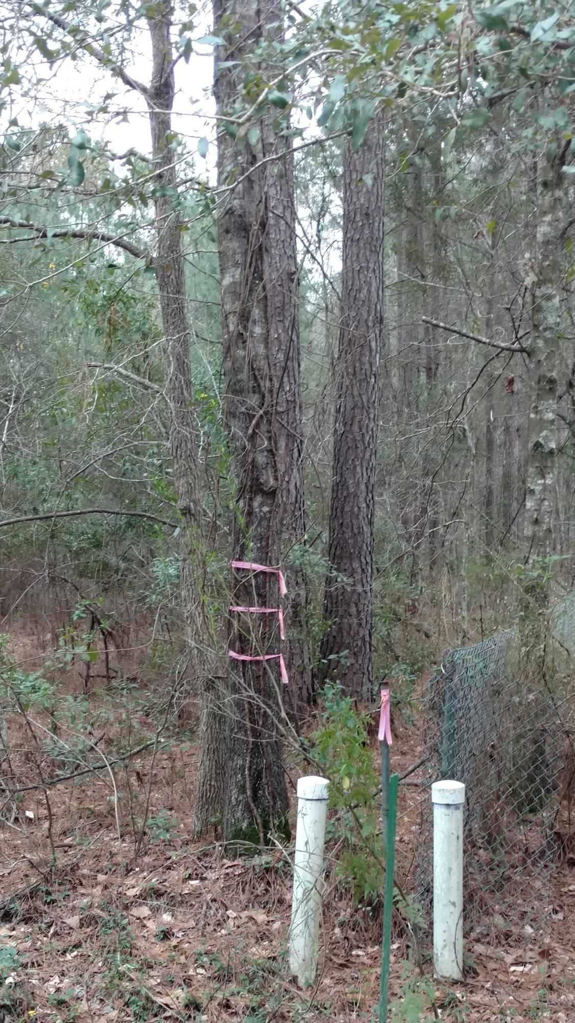0 Prince Thomas Road Summerville, SC 29483 - Photo 5 of 5 Water and Sewer