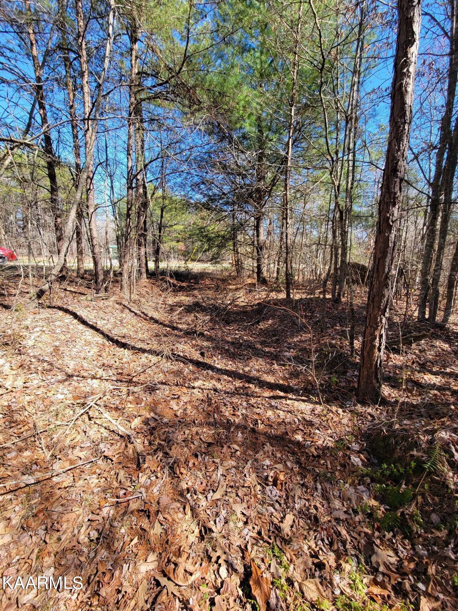 Paige Lane Deer Lodge, TN 37726 - Photo 3 of 10 335572031_1302735150274995_7165040642810