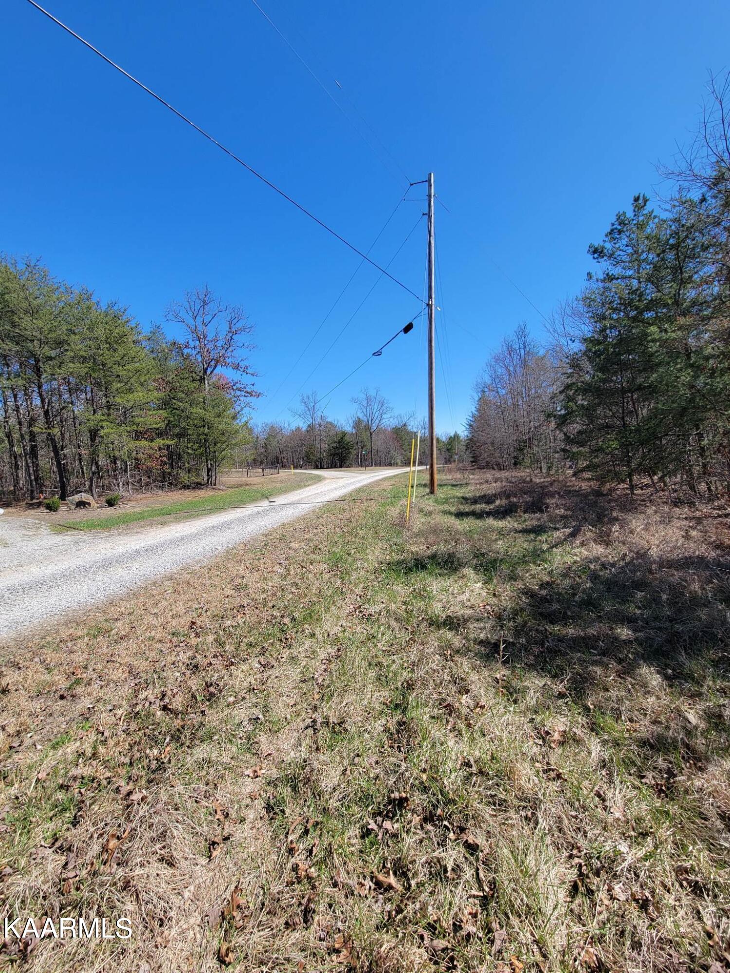 Paige Lane Deer Lodge, TN 37726 - Photo 4 of 10 335435120_226230736636840_23933694650713