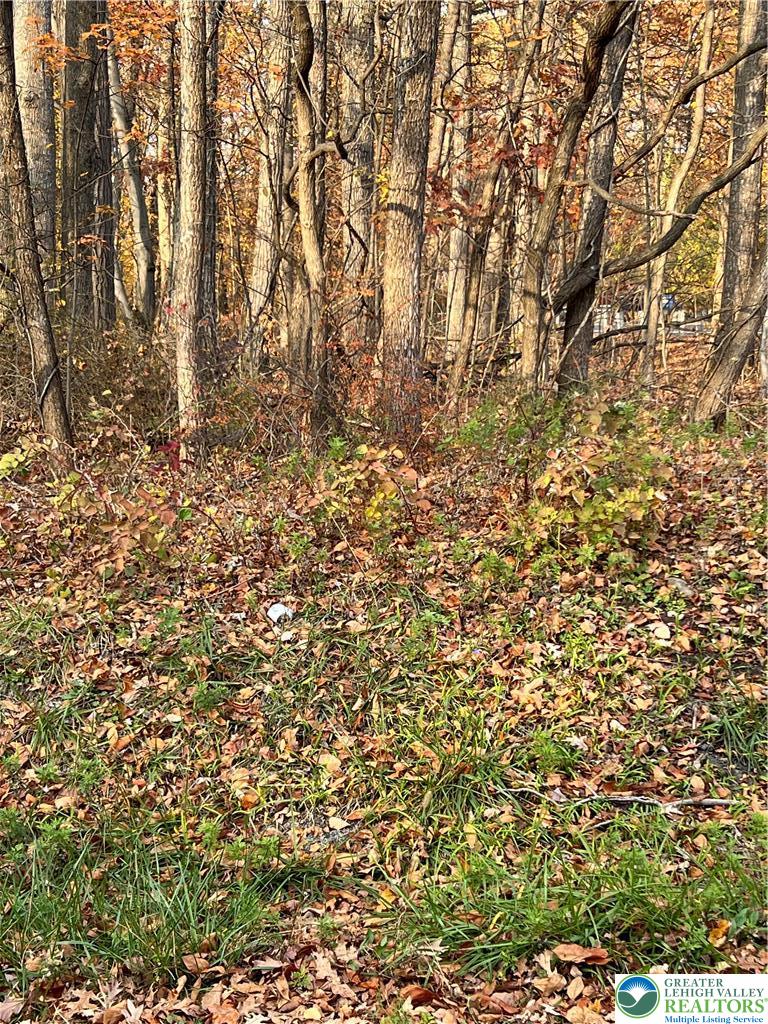 Shooktown Road Bangor, PA 18013 - Photo 4 of 11