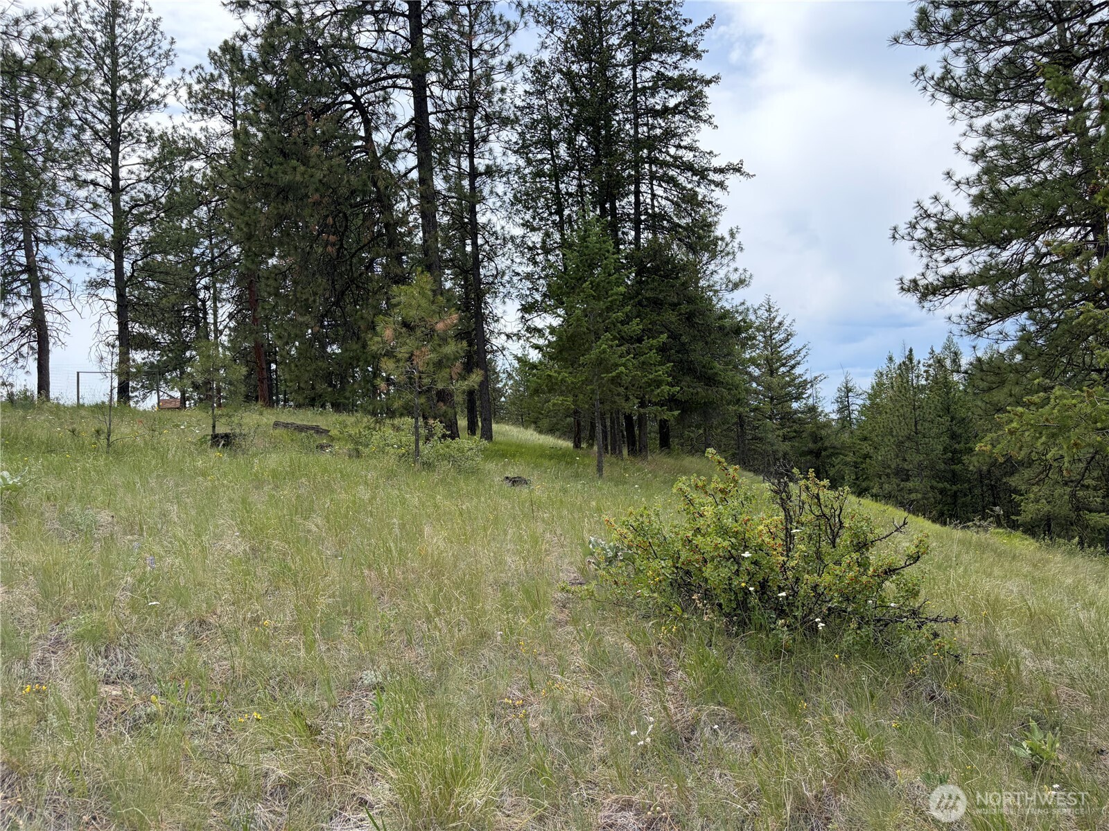 33 Outback Road Oroville, WA 98844 - Photo 23 of 26 a view of outdoor space and yard