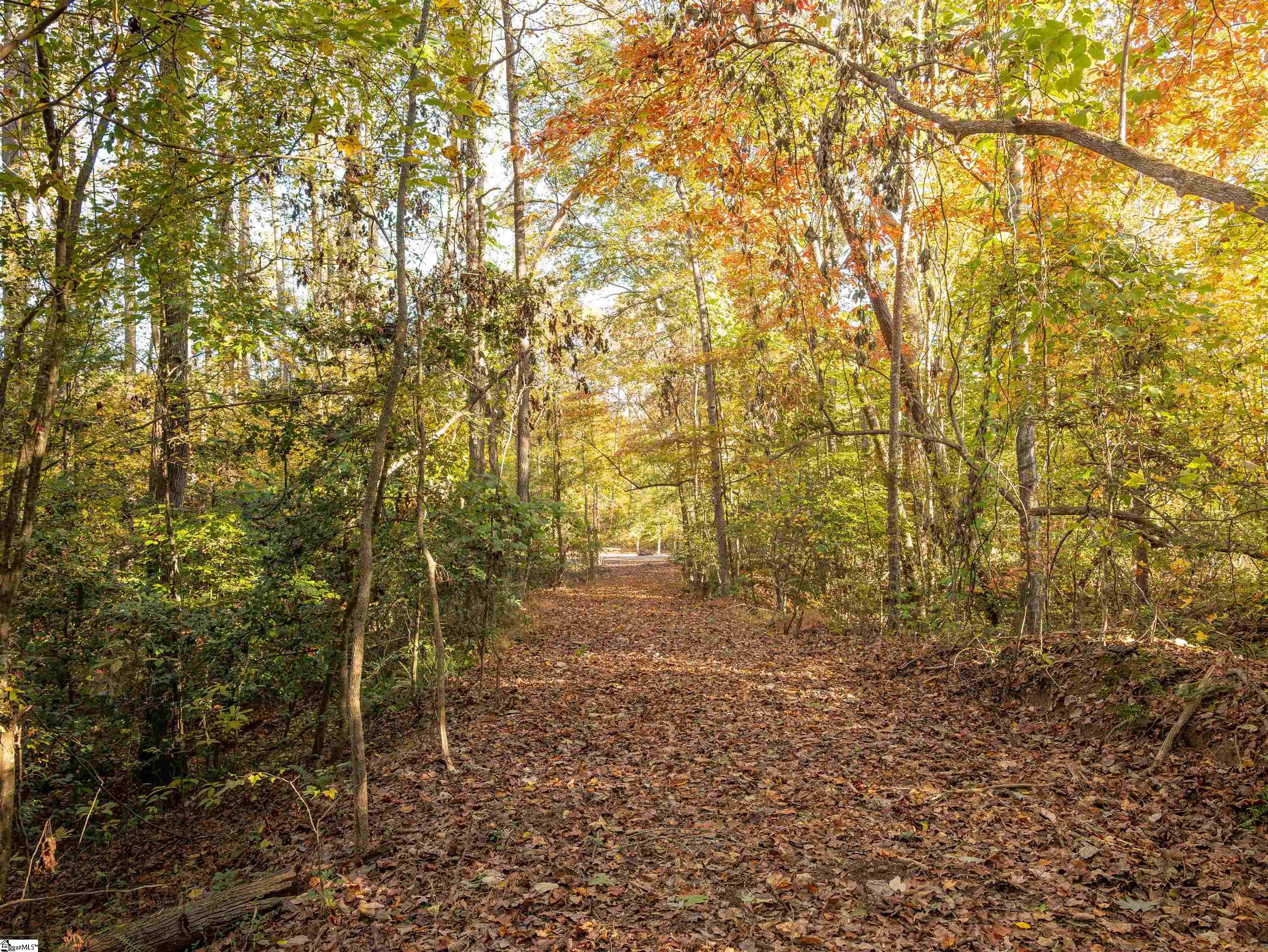 0 Dice Miller Road Moore, SC 29369 - Photo 1 of 30