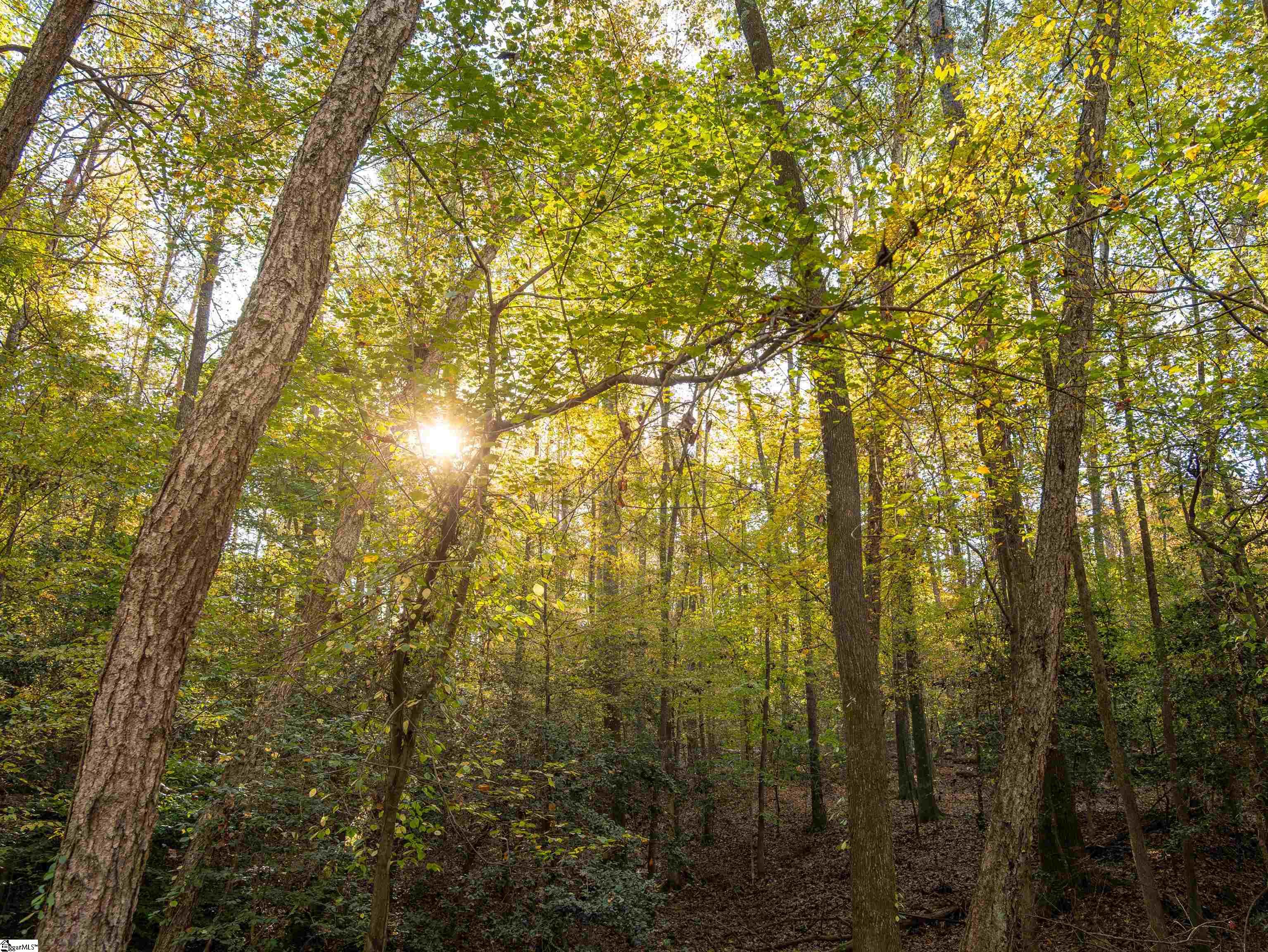 0 Dice Miller Road Moore, SC 29369 - Photo 20 of 30