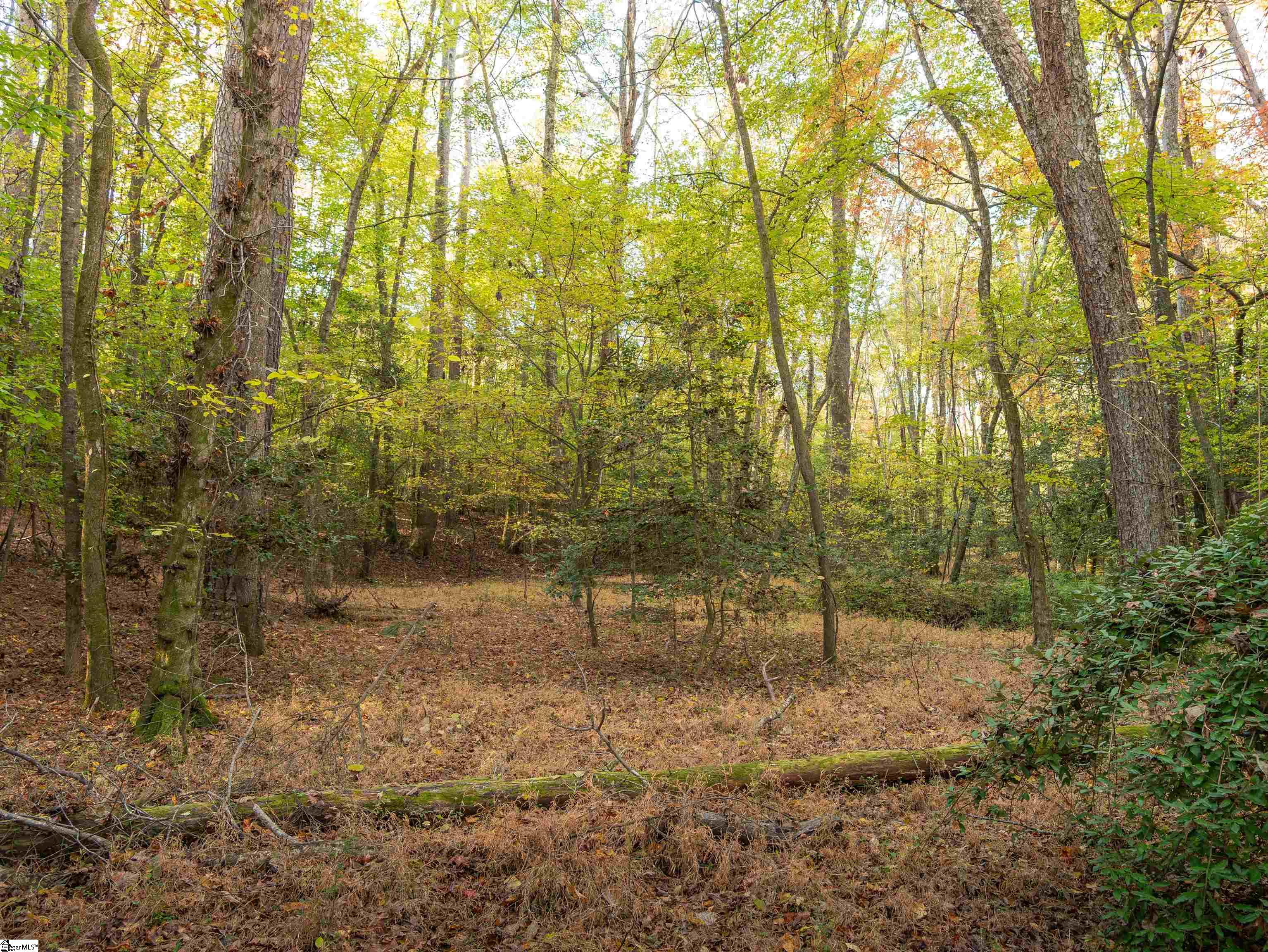 0 Dice Miller Road Moore, SC 29369 - Photo 26 of 30