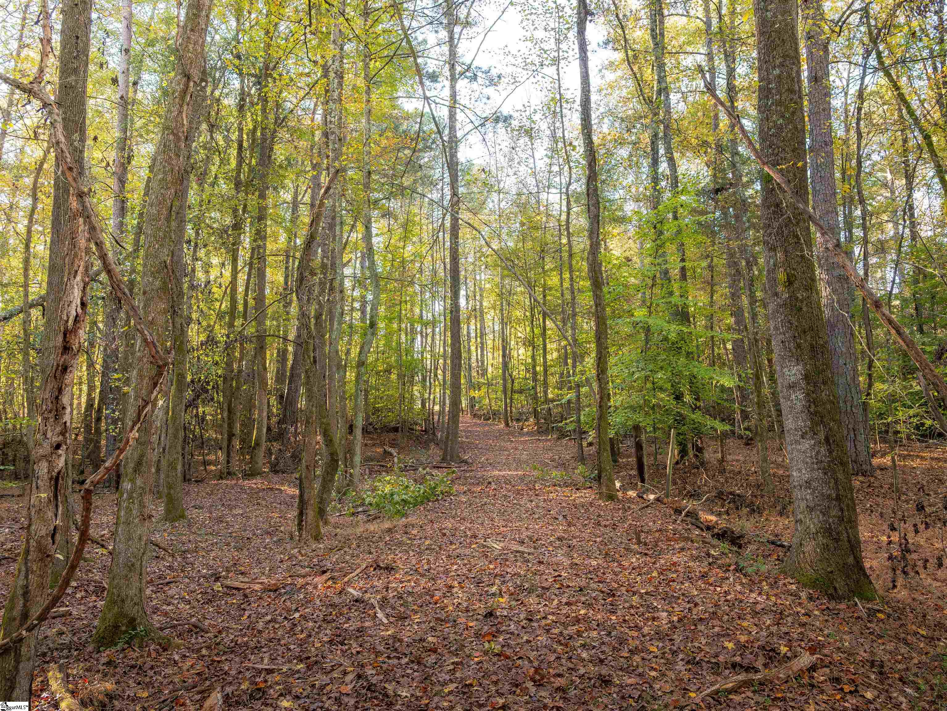 0 Dice Miller Road Moore, SC 29369 - Photo 7 of 30