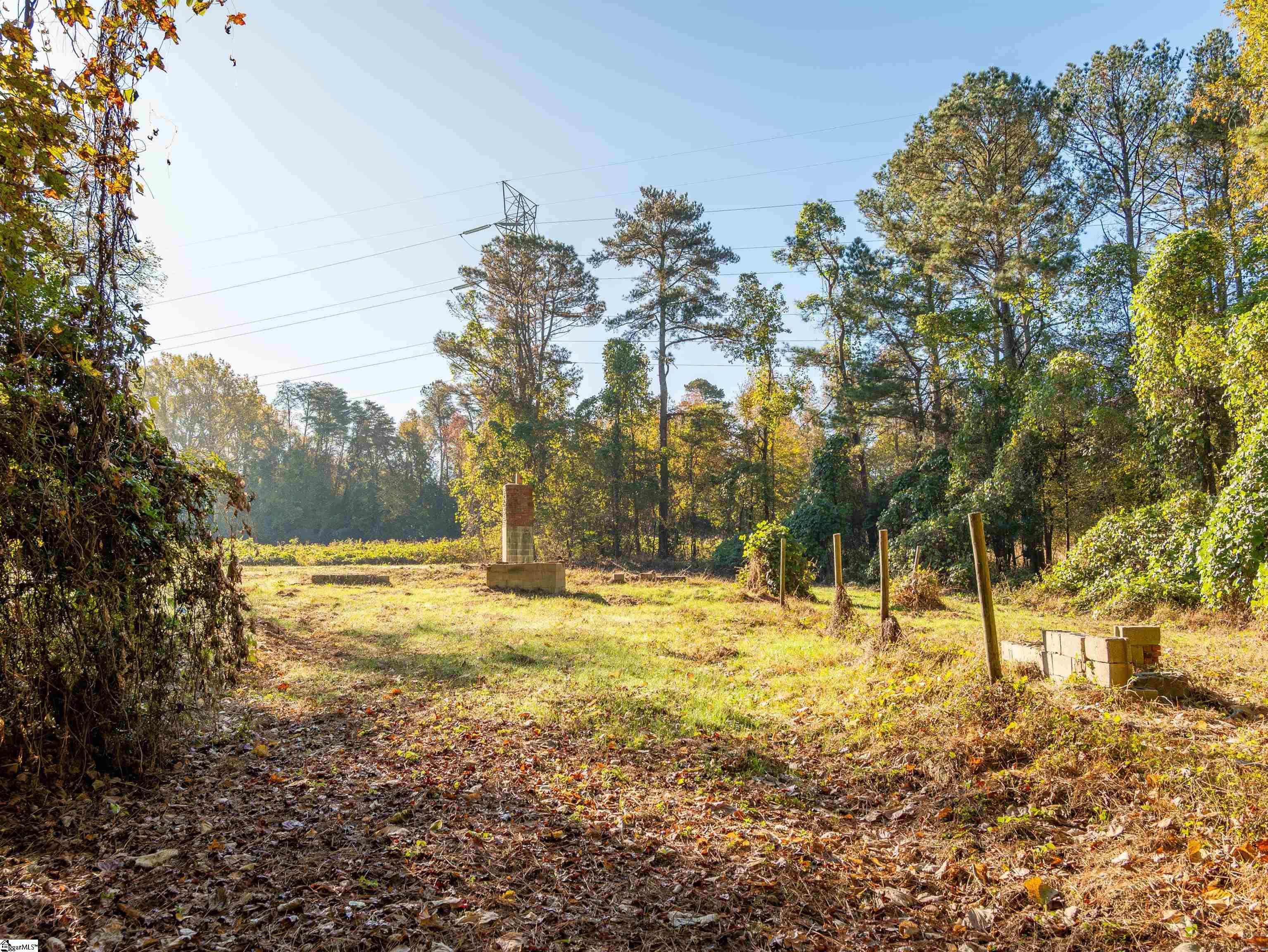 0 Dice Miller Road Moore, SC 29369 - Photo 10 of 30