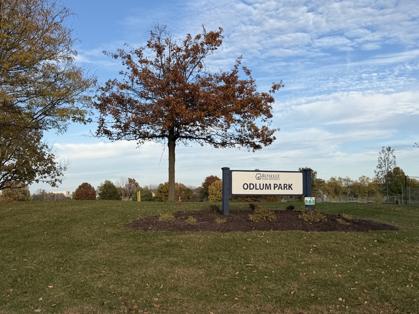 311 Sheffield Court, Unit 1 Roselle, IL 60172 - Photo 25 of 29 a view of a street