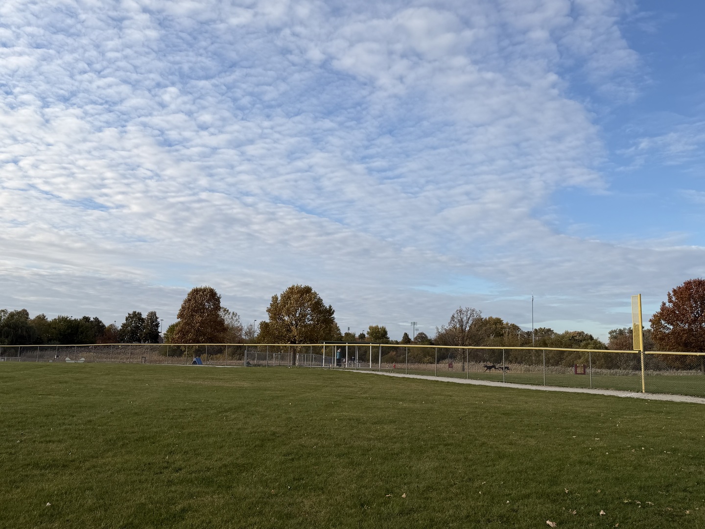 311 Sheffield Court, Unit 1 Roselle, IL 60172 - Photo 27 of 29 a view of a green field