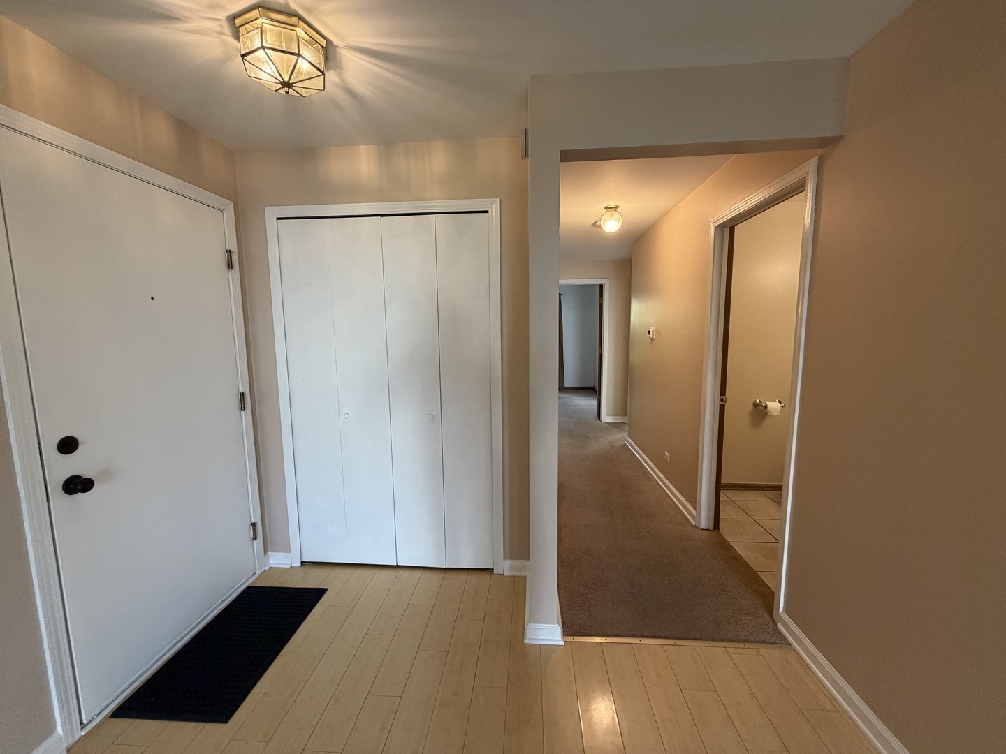 311 Sheffield Court, Unit 1 Roselle, IL 60172 - Photo 10 of 29 a view of a hallway with wooden floor
