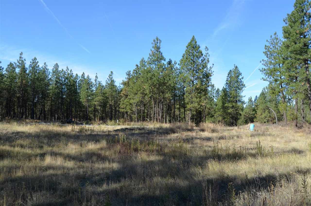 19319 South Malloy Prairie Road Cheney, WA 99004 - Photo 1 of 19