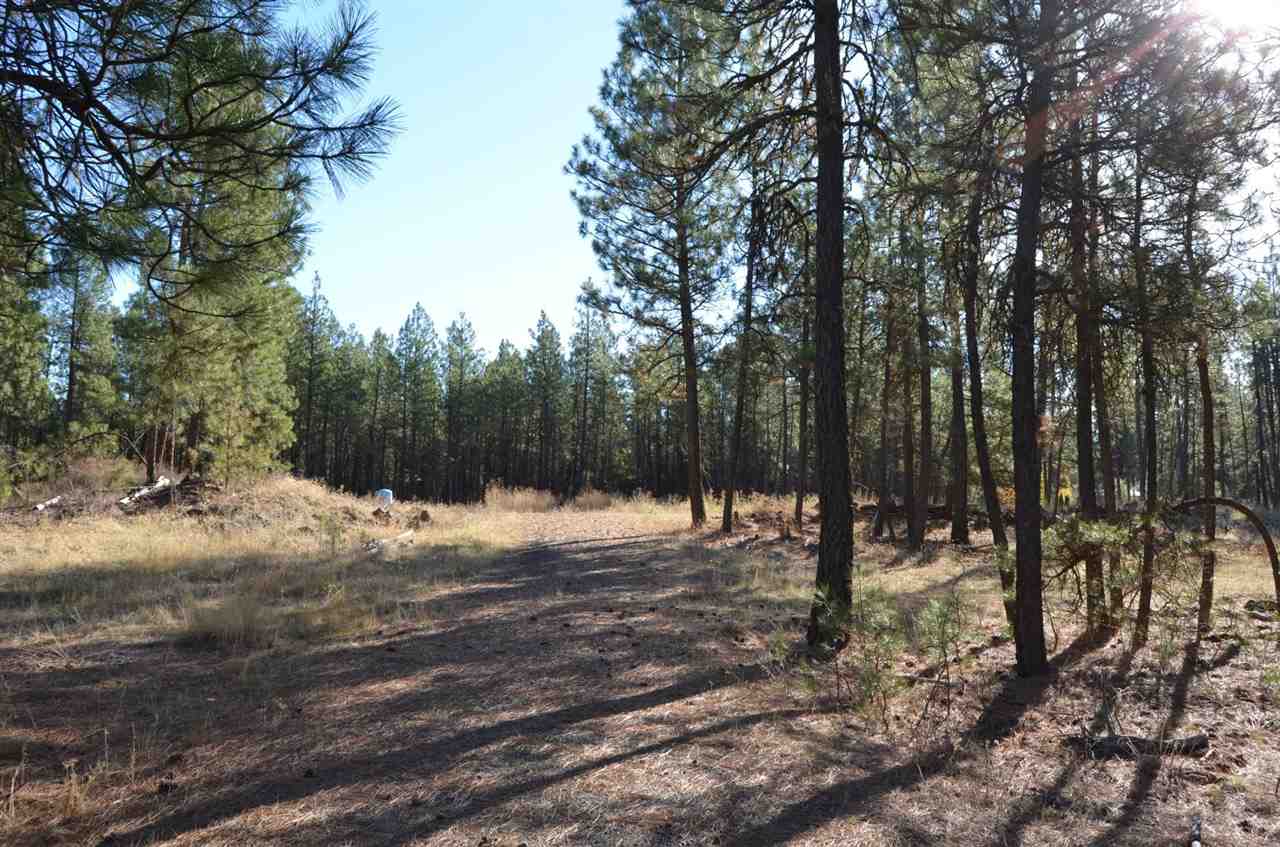 19319 South Malloy Prairie Road Cheney, WA 99004 - Photo 2 of 19