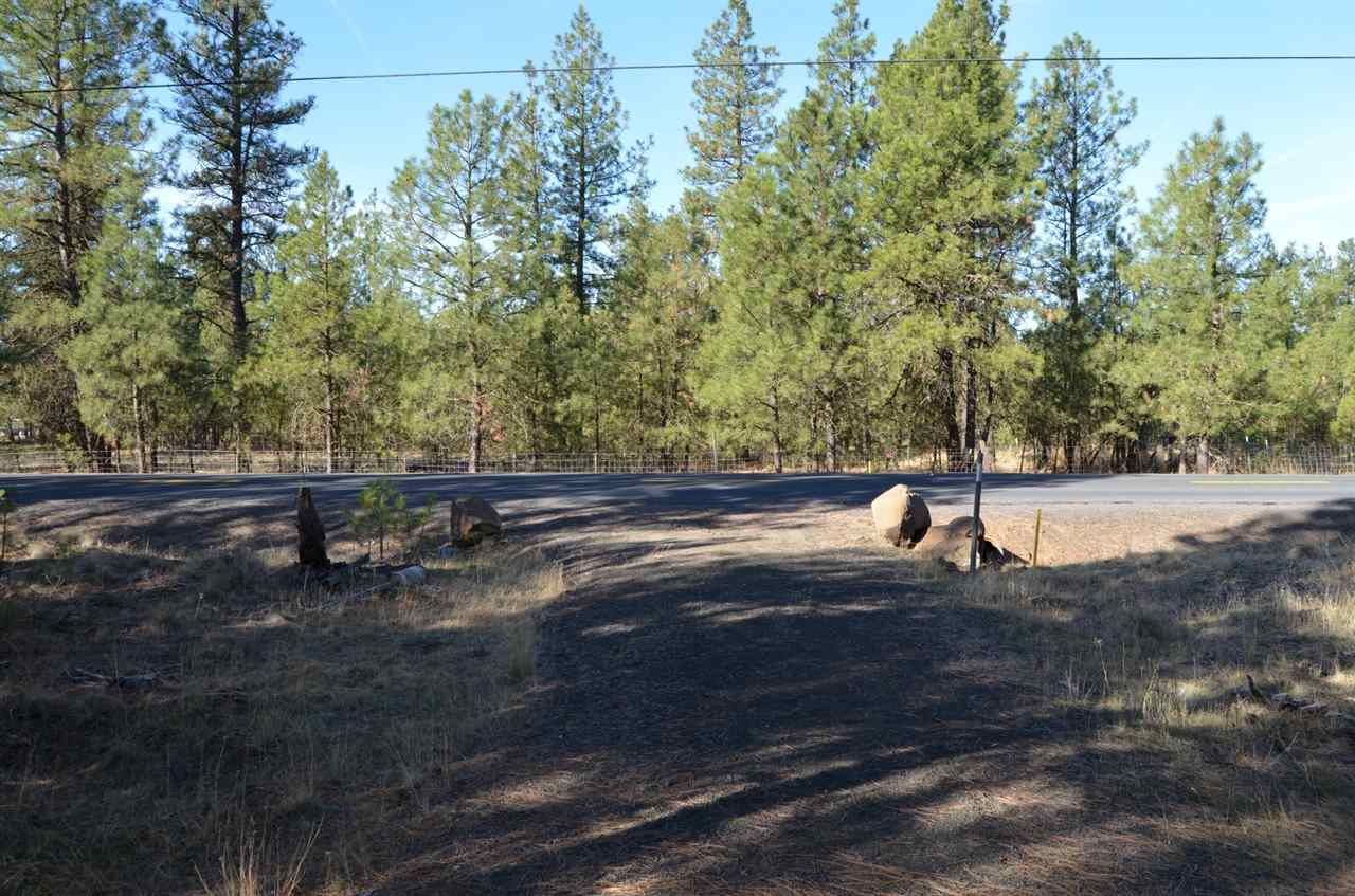 19319 South Malloy Prairie Road Cheney, WA 99004 - Photo 11 of 19