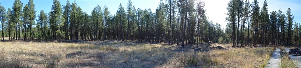 19319 South Malloy Prairie Road Cheney, WA 99004 - Photo 12 of 19