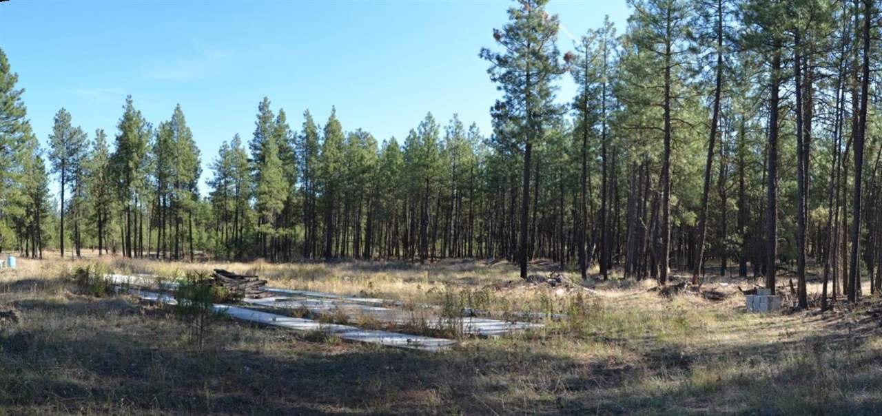 19319 South Malloy Prairie Road Cheney, WA 99004 - Photo 13 of 19