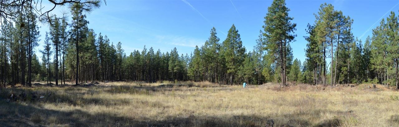 19319 South Malloy Prairie Road Cheney, WA 99004 - Photo 15 of 19