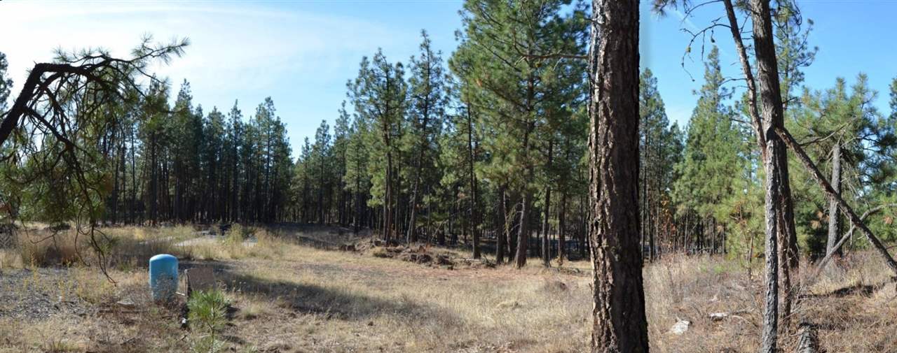 19319 South Malloy Prairie Road Cheney, WA 99004 - Photo 16 of 19