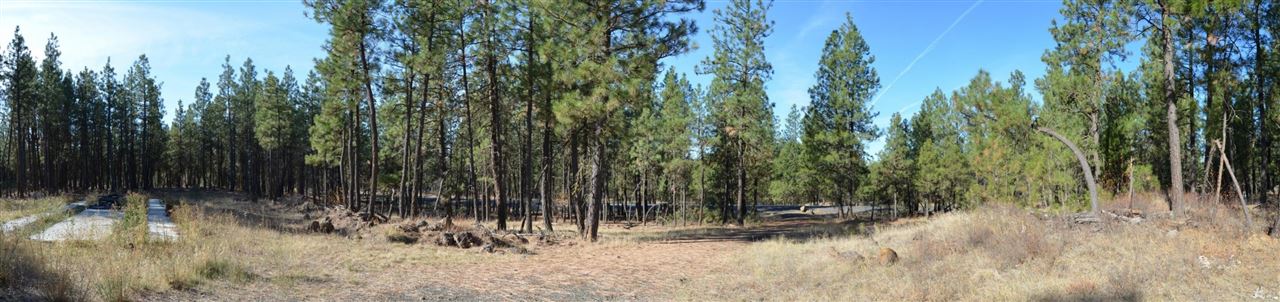 19319 South Malloy Prairie Road Cheney, WA 99004 - Photo 17 of 19