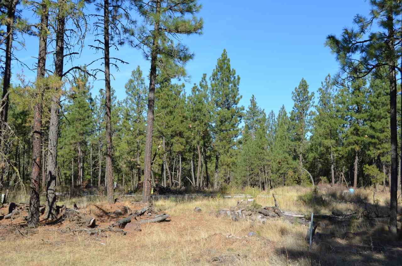 19319 South Malloy Prairie Road Cheney, WA 99004 - Photo 18 of 19