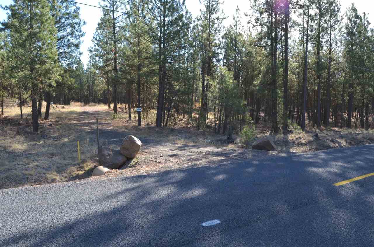 19319 South Malloy Prairie Road Cheney, WA 99004 - Photo 3 of 19