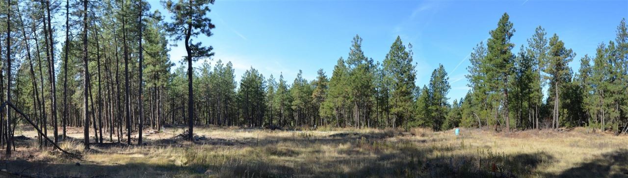 19319 South Malloy Prairie Road Cheney, WA 99004 - Photo 8 of 19