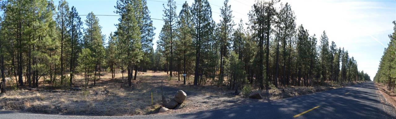 19319 South Malloy Prairie Road Cheney, WA 99004 - Photo 10 of 19