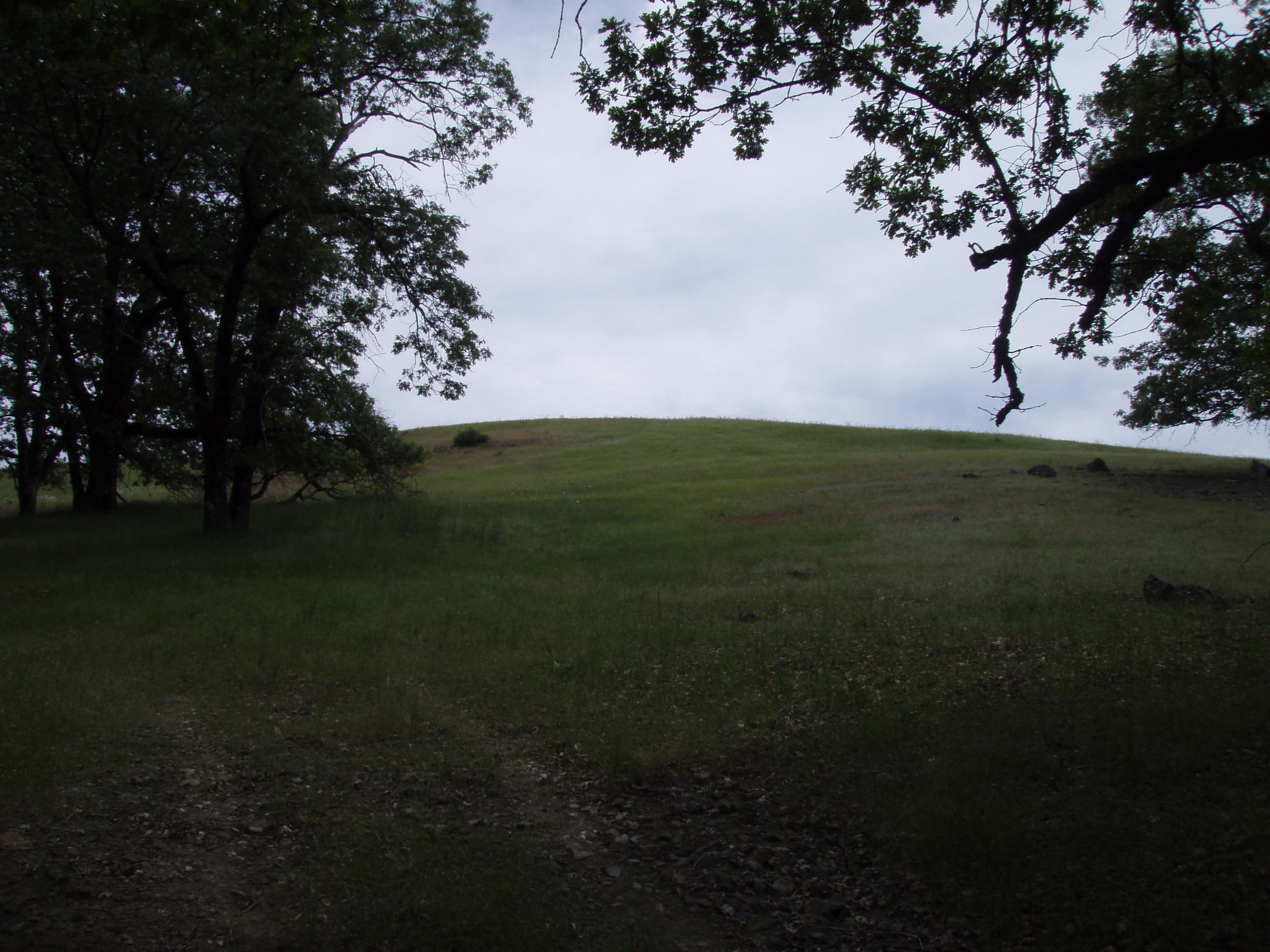 4750 Burr Valley Road Bridgeville, CA 95526 - Photo 25 of 52