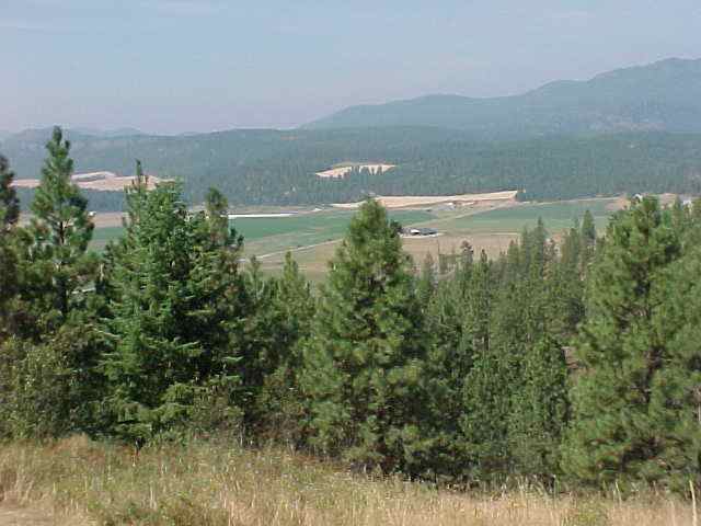 2960 Huffman Road Valley, WA 99181 - Photo 5 of 9