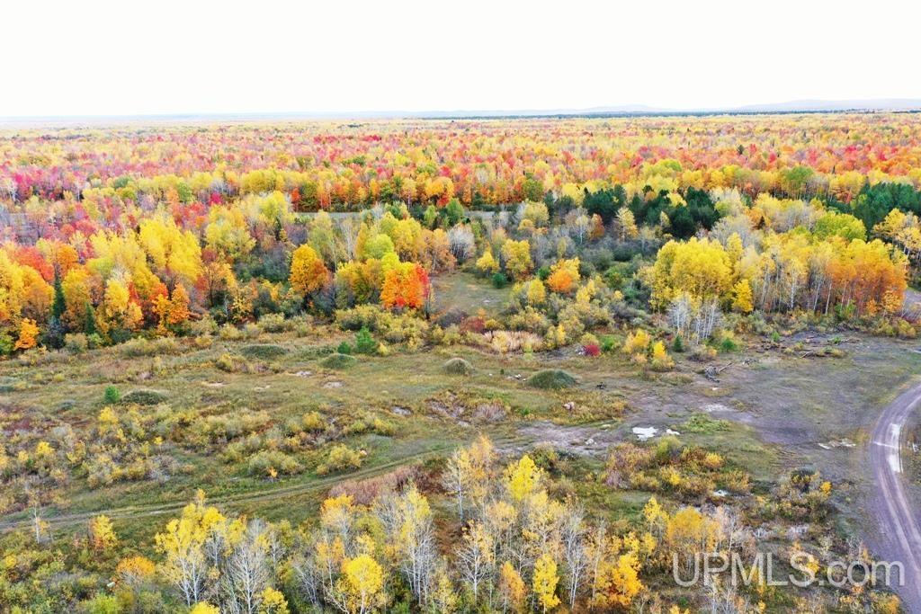 Tbd L P Walsh Road Ontonagon, MI 49953 - Photo 5 of 13