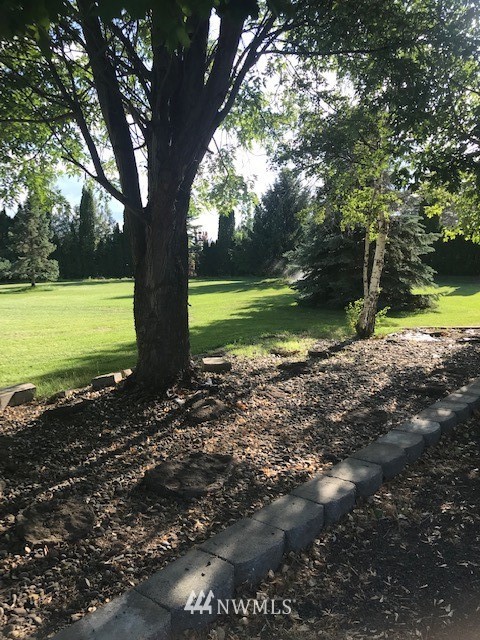 91 Hideaway Road Yakima, WA 98908 - Photo 8 of 25 a view of a trees in a yard