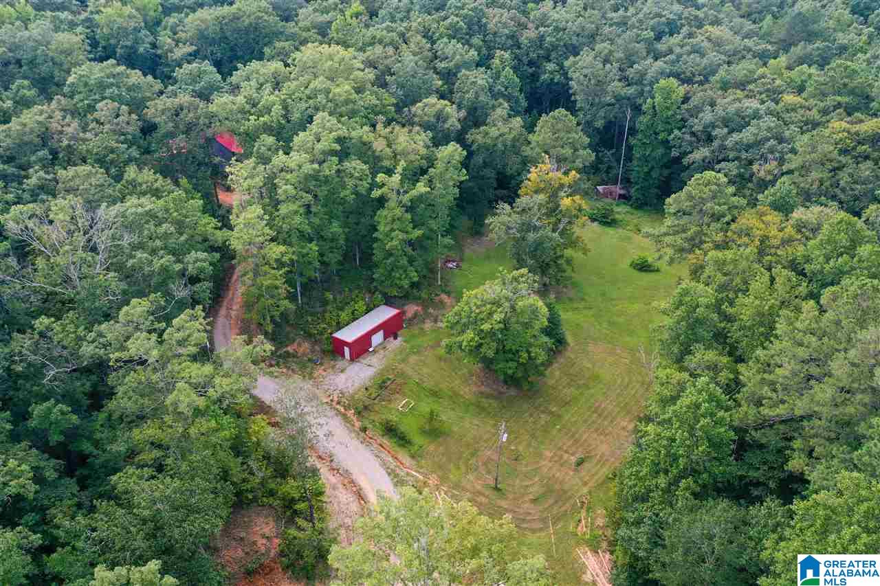 545 Scott Road Montevallo, AL 35115 - Photo 33 of 35